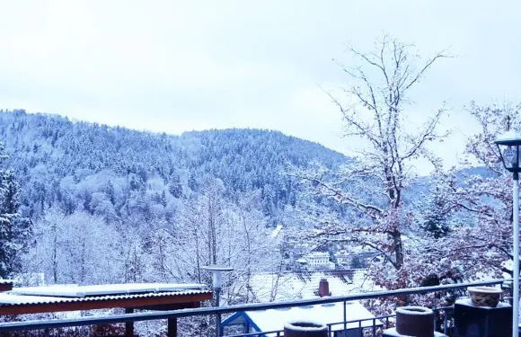 博斯特沃爾德酒店