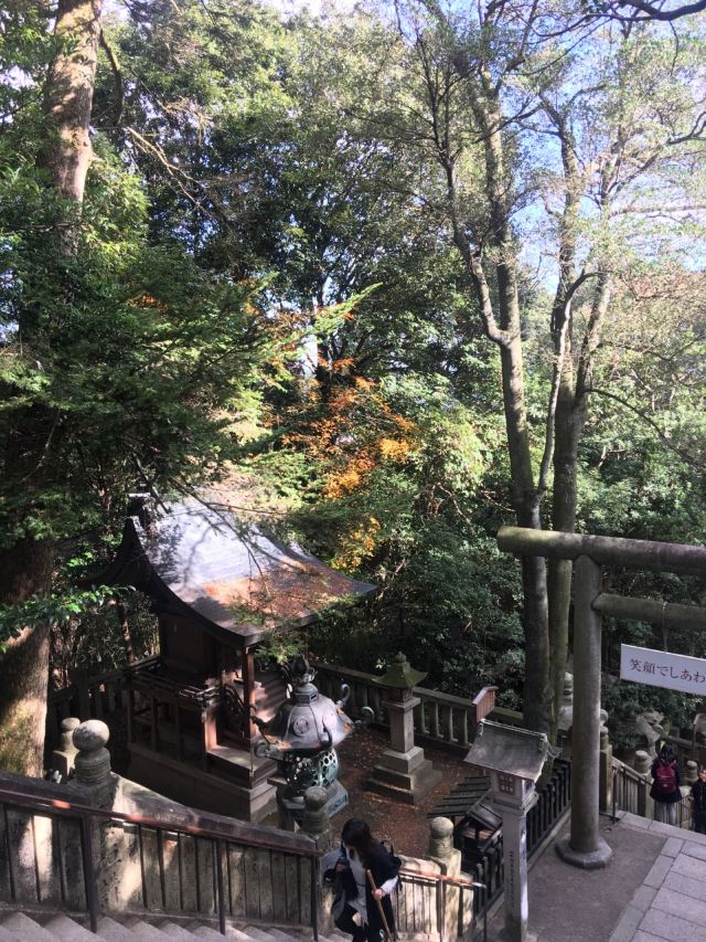 고토히라궁