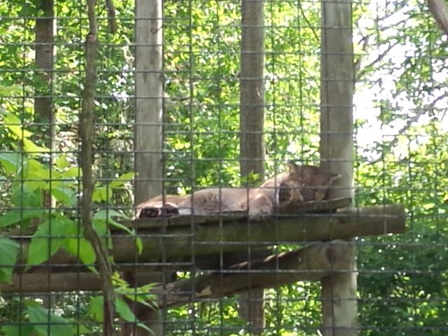 Toronto Zoo