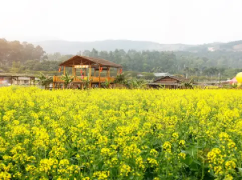 กิจกรรมในฤดูใบไม้ผลิ10ยอดนิยมในฝอซาน