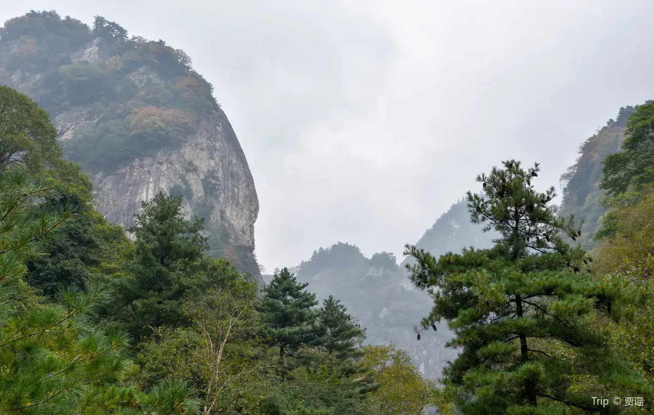 2_朱雀國家森林公園