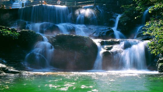 Zhaoqing Jurang Emas + Gunung Dinghu + Menara Piyun + Tujuh Bintang Batu lawatan sehari@Rahsia landskap gunung dan air&Oksigen semula jadi
