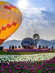 Dahebao Liangdu Flower Field