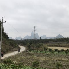 大樟树农家饭 User Photo