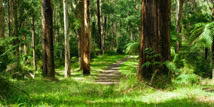 丹頓農山脈國家公園