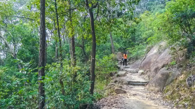 Hong Kong Hiking