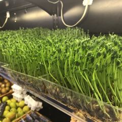 GREEN & SAFE（東平路店）張用戶圖片