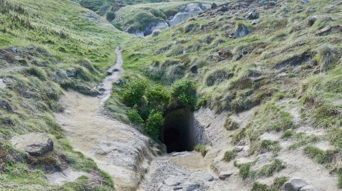 Tunnel Beach Track