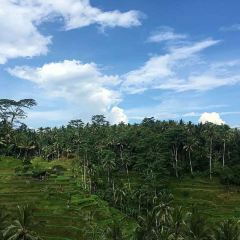 Bali Asli User Photo