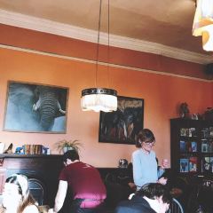 The Elephant House User Photo