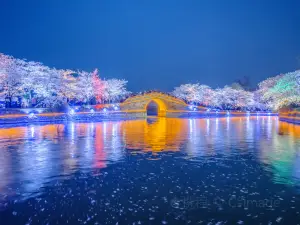 Top 20 Global Traveller-Picked Attractions in Wuxi