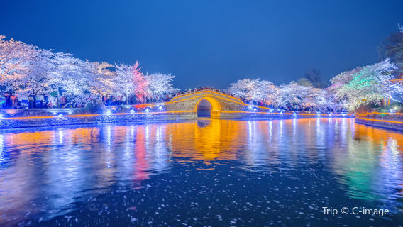 Changchun Bridge