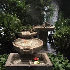 陈火锅古韵风(长白店) User Photo
