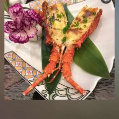 SushiYotsuba User Photo