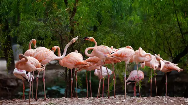 鄰近鄭州市動物園的酒店