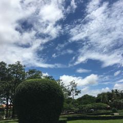 大傻徽菜园·中国徽菜大师(老街店) User Photo
