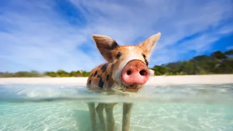 Great Exuma Island travel destination