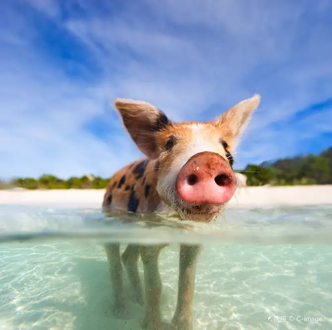 Great Exuma Island