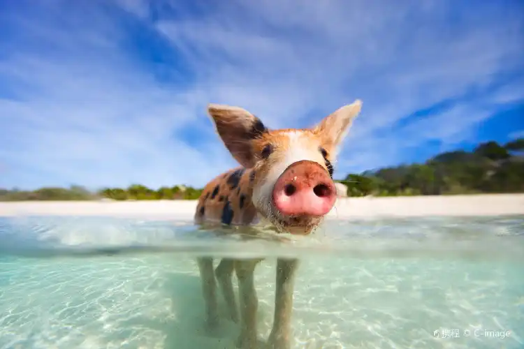 Great Exuma