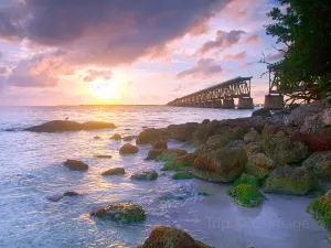 바히아 혼다 주립공원