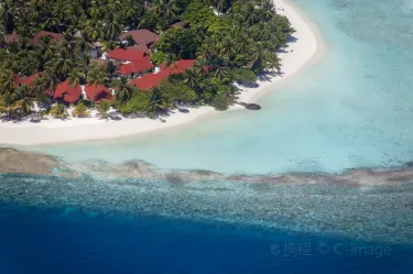 Vihamanafushi