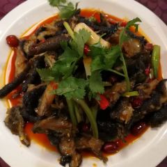 SHAN LI REN GU XUAN WEI CAI GUAN BEI JING LU DIAN User Photo