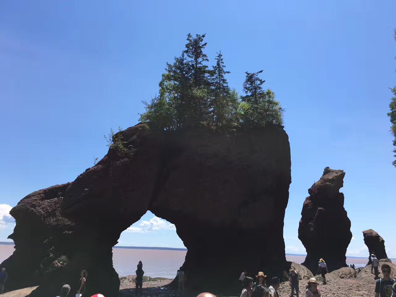 ファンディ湾のレビュー ファンディ湾のチケット ファンディ湾の割引 ファンディ湾の交通機関 所在地 営業時間 ファンディ湾周辺の観光スポット ホテル グルメ Trip Com ファンディ湾のレビュー ファンディ湾のチケット ファンディ湾の割引 ファンディ湾の交通機関 所在地 営業時間 ファンディ湾周辺の観光スポット ホテル グルメ Trip Com