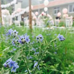 兴隆山农家院 User Photo