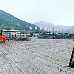 The Lamma Mandarin Seafood restaurant User Photo