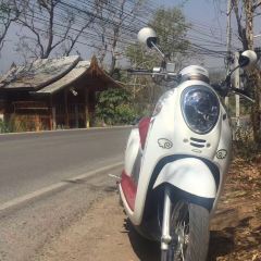 Duang Pai User Photo