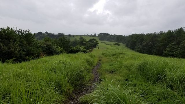 山君不離
