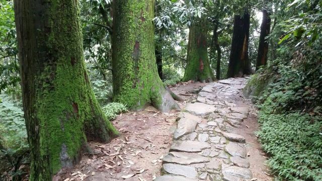 天目山景區