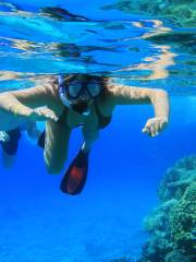 Diving Of Thousand-island Lake