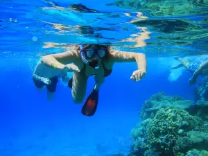 Diving Of Thousand-island Lake