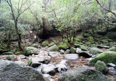 Shiratani Unsui Gorge