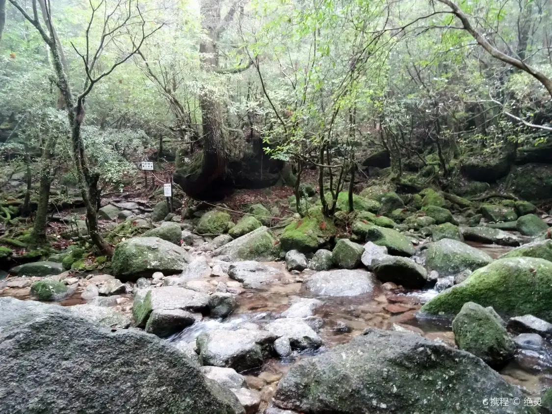 Hotels near Shiratani Unsui Gorge
