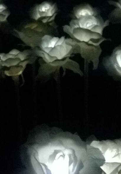 10,000 Roses Cafe & More