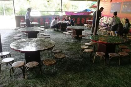 开发区金注彝家老土菜