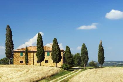 五芳斋(西塘邮电东路店)