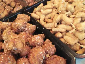 九多肉多(白沙店)