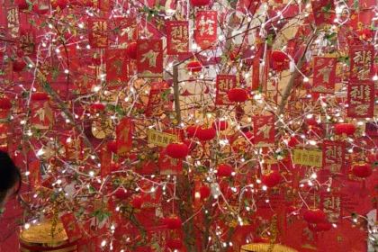 雅惠(缔壹街店)