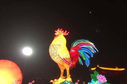 Bikulikaoquan Fish (erqiwanda)