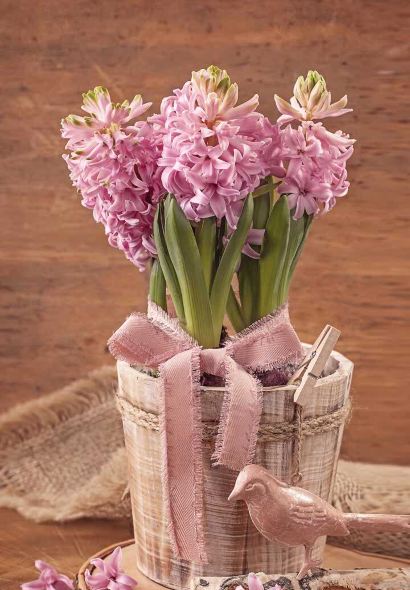 ZHENG XIN JI PAI SUI DOU DIAN