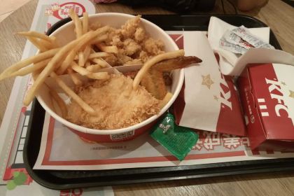 KEN DE JI CUI WEI LU CAN TING