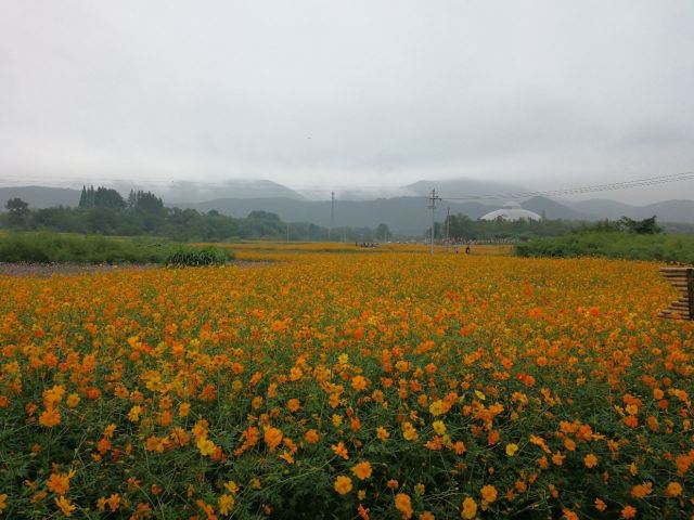 Taiji Wuse Valley