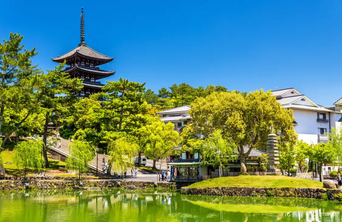 Hotel berhampiran Sarusawa Pond