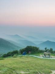 Tai Mo Shan