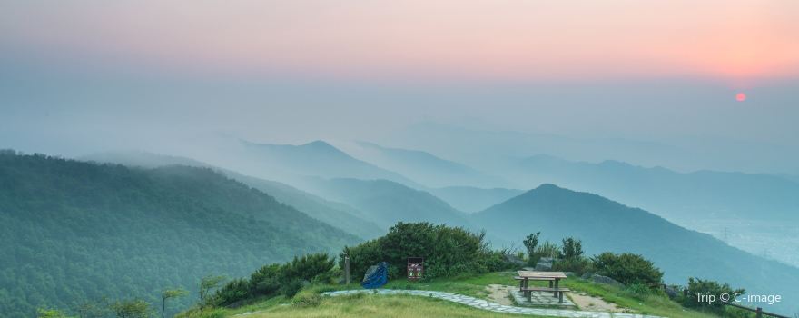 Tai Mo Shan