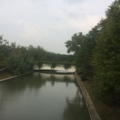 Zhongxintaifuzhujiajiaojinjiangjiudian·pinmingge User Photo