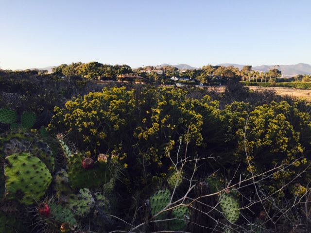 Point Dume State Beach and Preserve